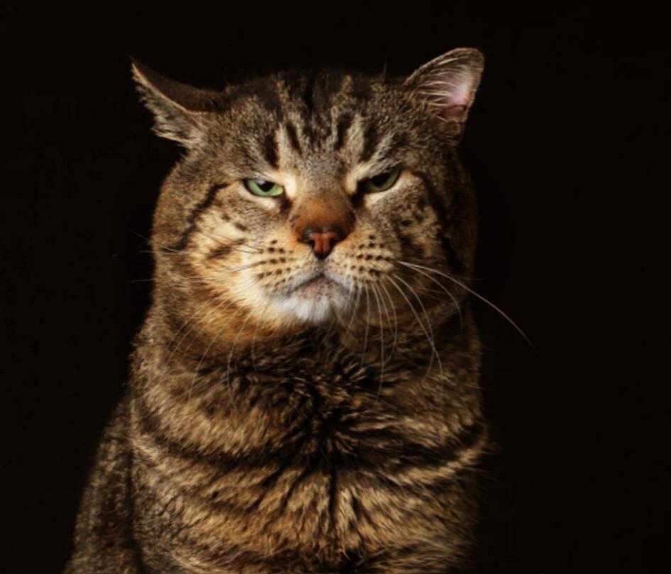 Такого не всякий полюбит (фото из интернета)