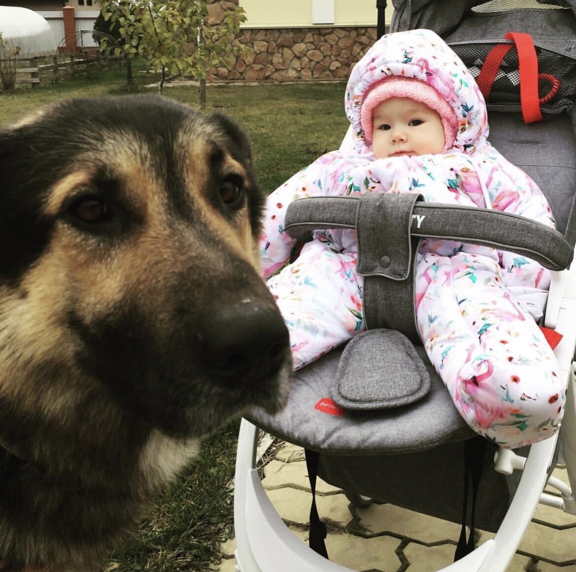 Пупс и Камрад