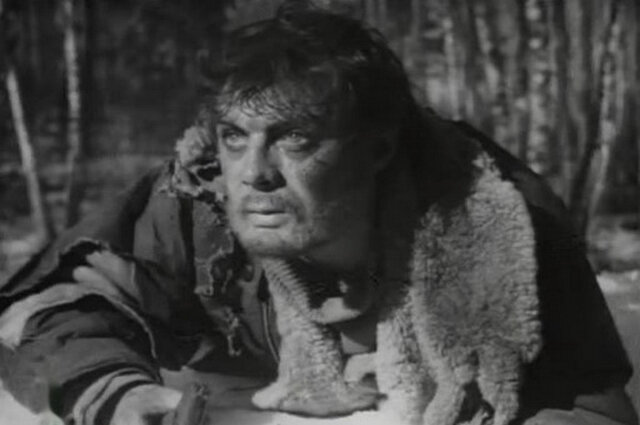 Изображение взято из открытых источников