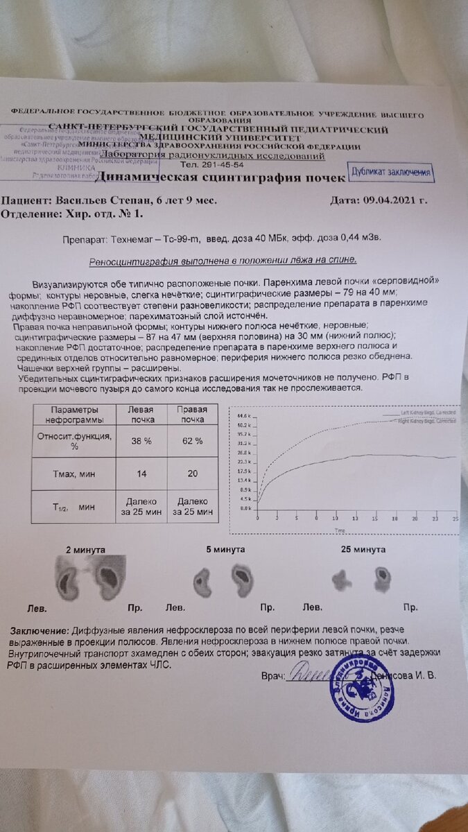 Заключение
