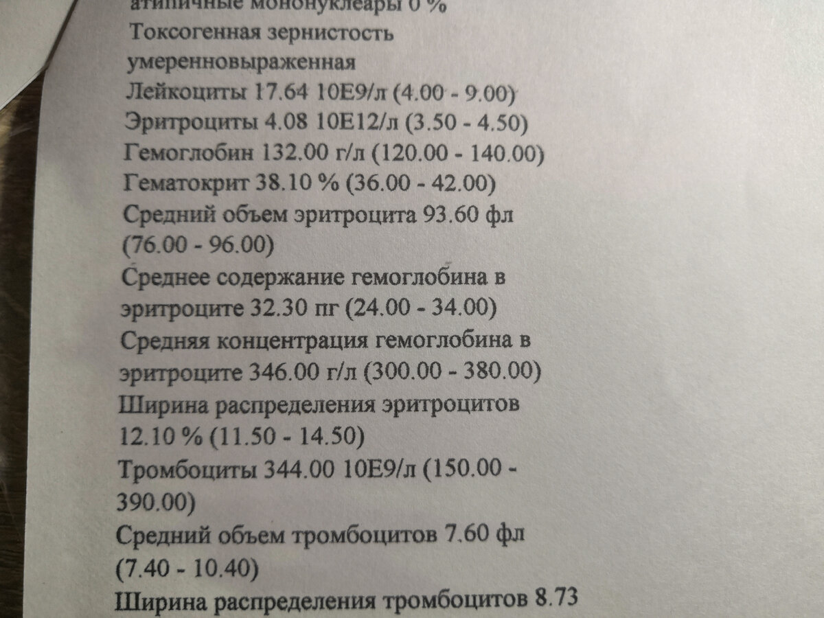 Результат через две недели после второй химии. 