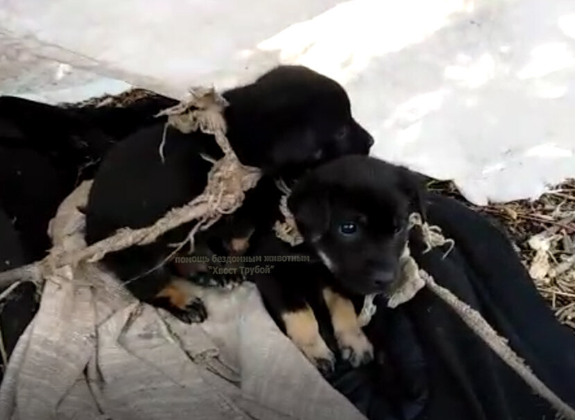 скрин из видео
