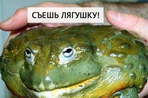 Фото - из интернета