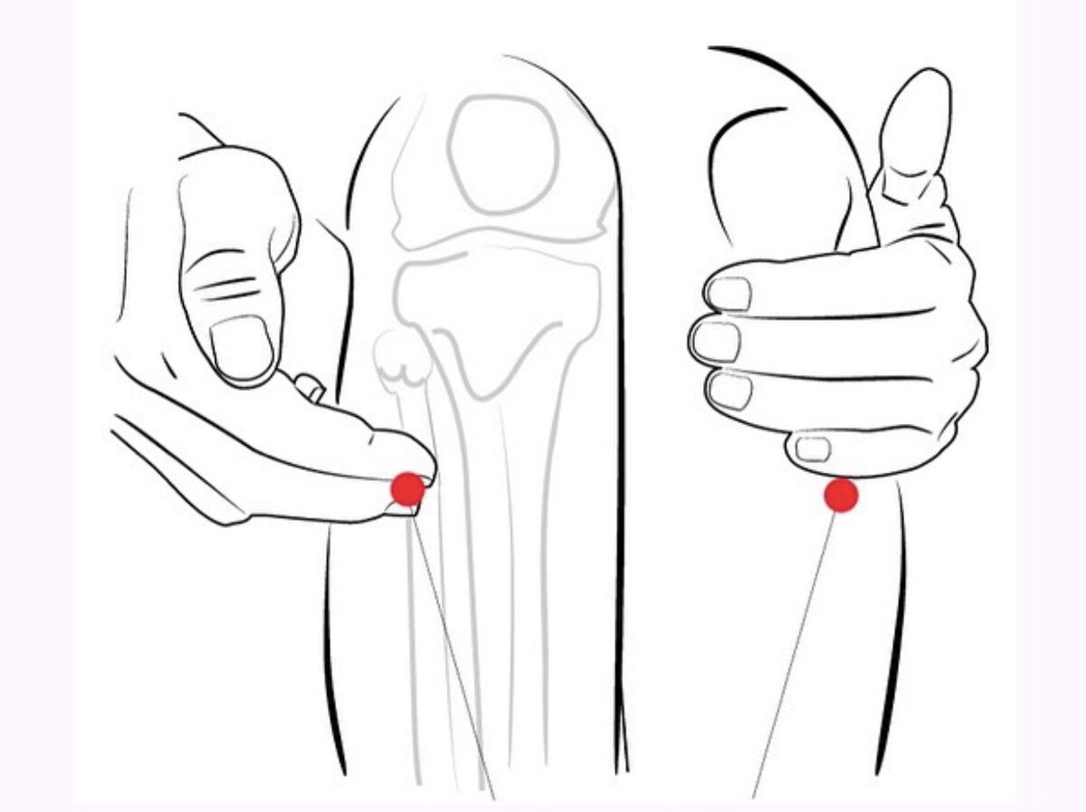 точка е36 цзу-сан-ли. находим точку сан ли. точка долголетия е36 цзу сан ли точка. точка долголетия от ста болезней цзу-сан-ли е 36. точка –е36 –цзу-сан-ли 36.