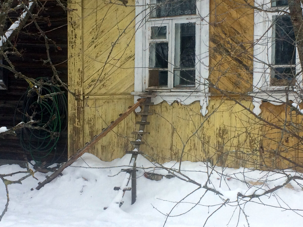 Так устроен кошачий лаз в кухонном окне. Фото автора