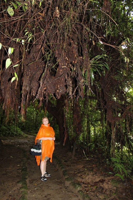 Немного страшно и очень мокро. Я предусмотрительно взяла с собой дождевики. 