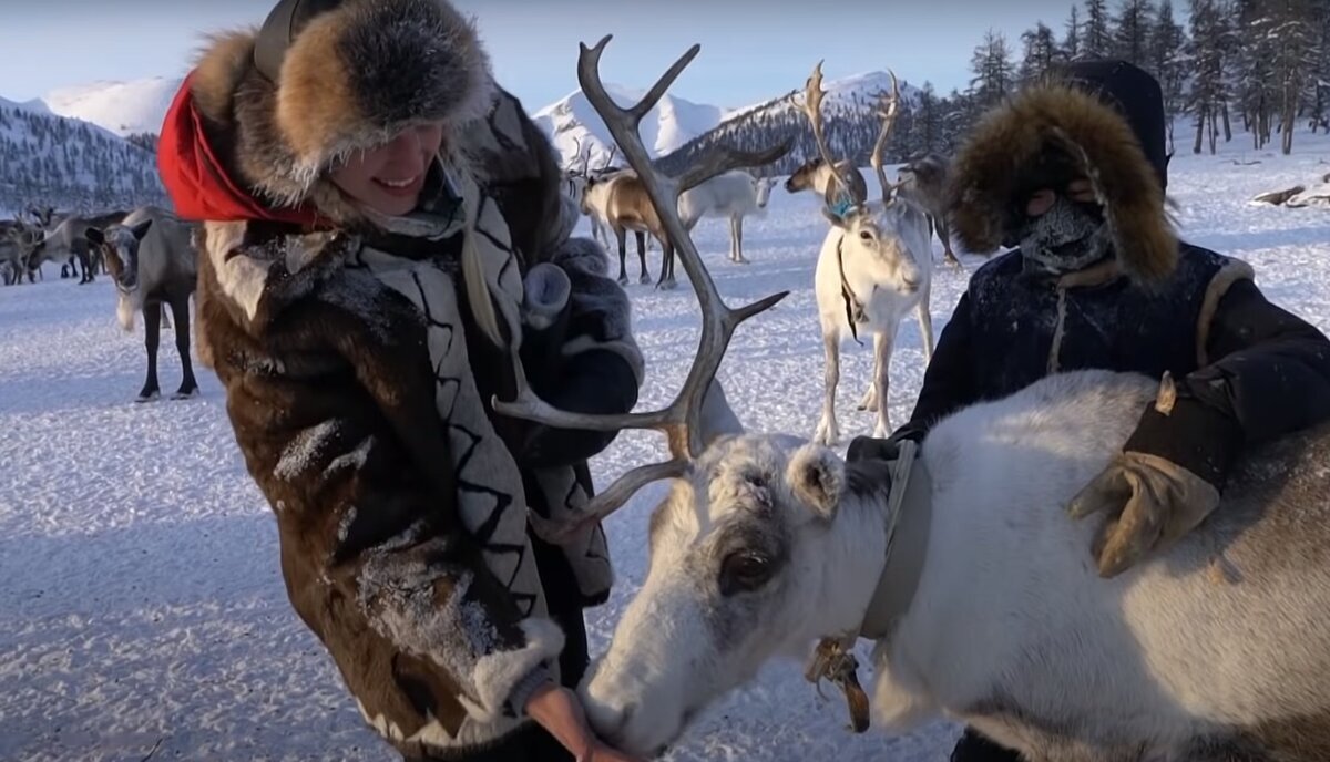 Милый олень и я