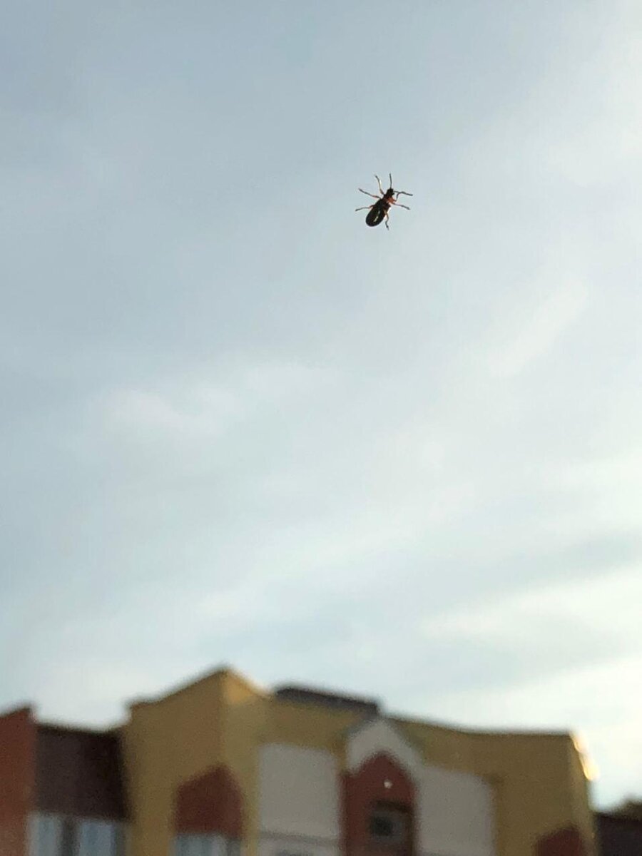 Внимание на фото!