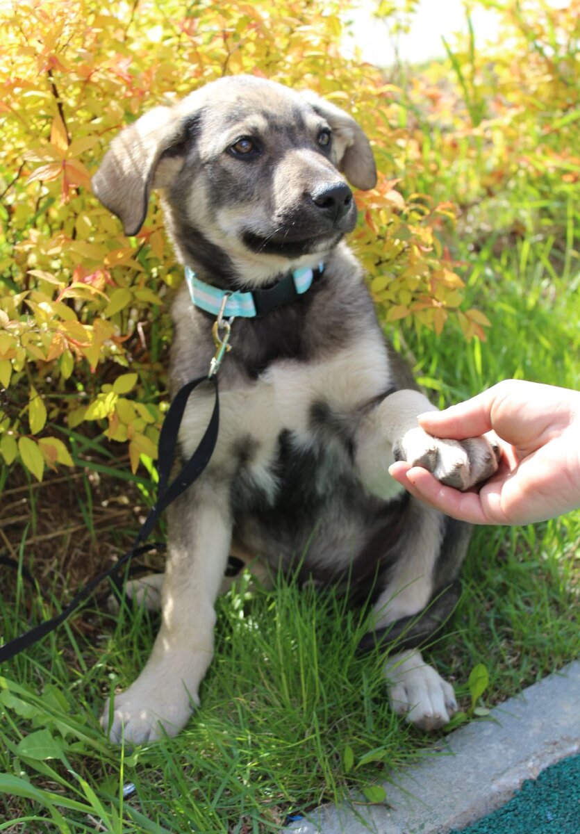 Первый мальчик