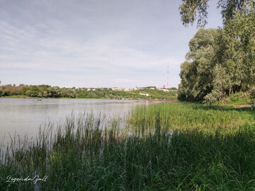 Дневниковое... Погода благоволит труду. Нежданный подарок