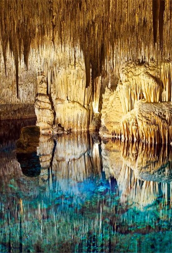 https://www.nationalgeographic.com.es/medio/2018/02/27/coves-del-drach__550x807.jpg