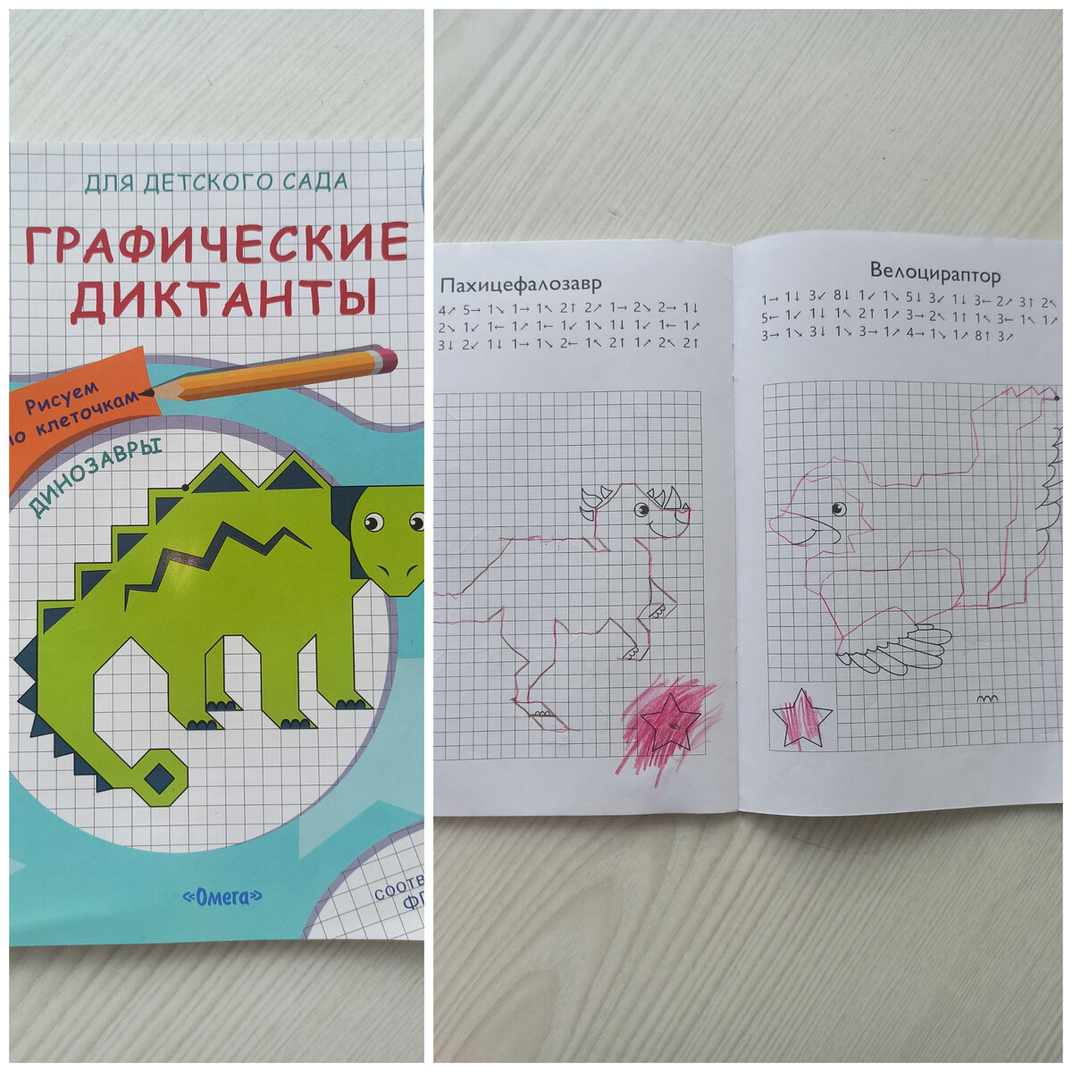 Графический диктант, который мы попробовали писать дома