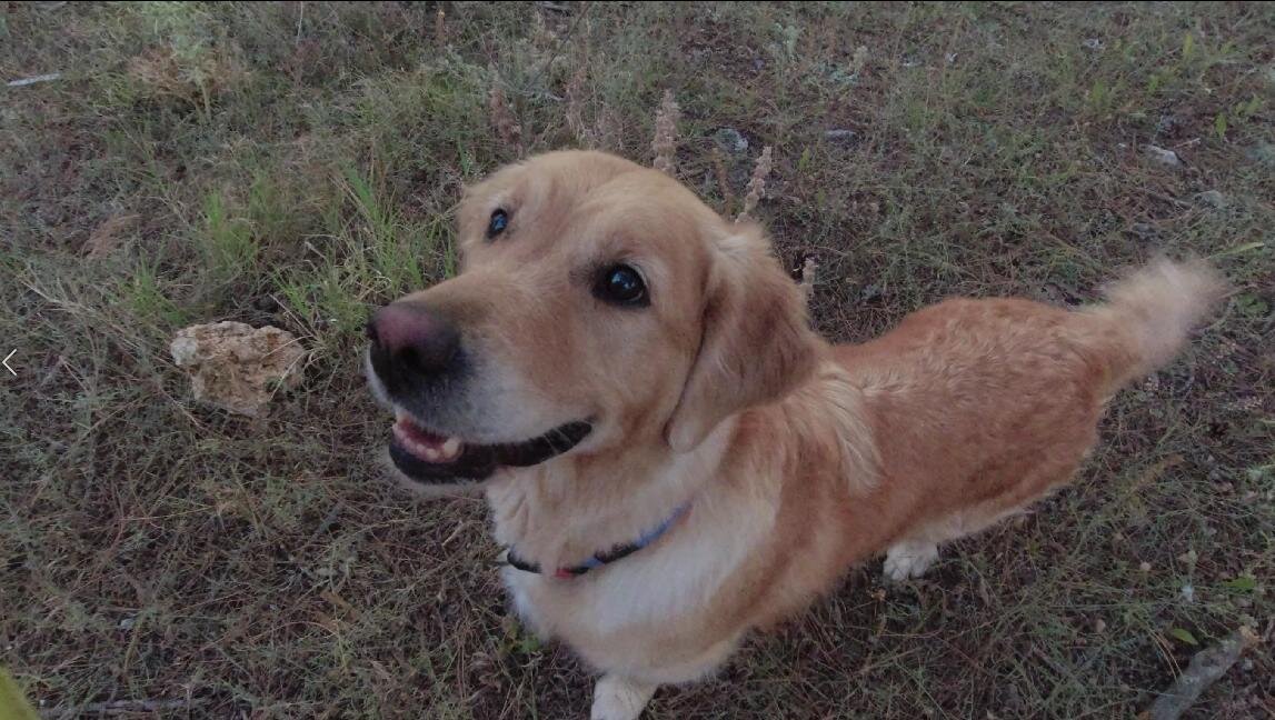 Ляля вся во внимании