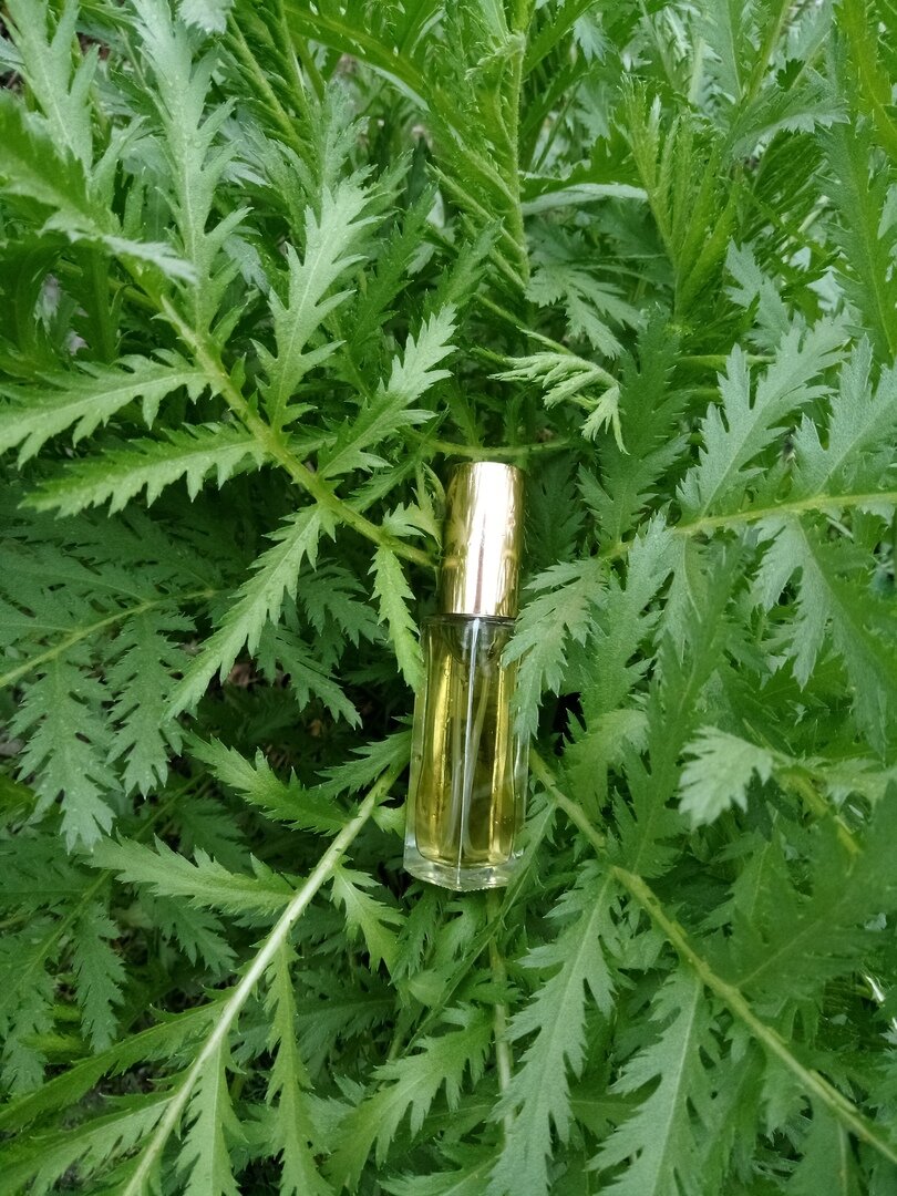 личный архив