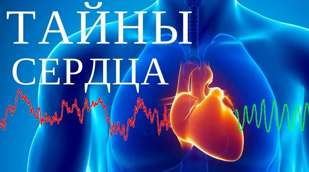 Секрет сердца. Сердечные тайны. Тайна сердца