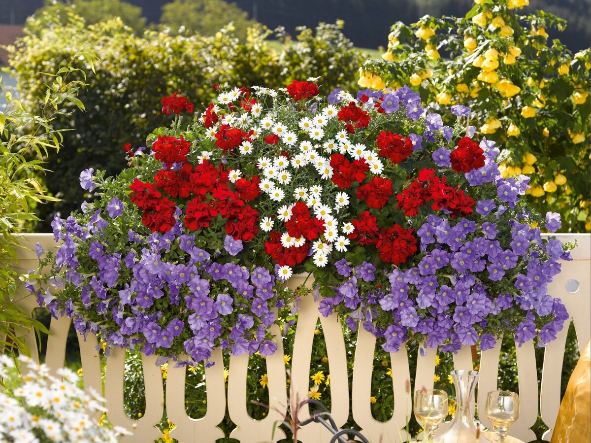 Из открытых источников.