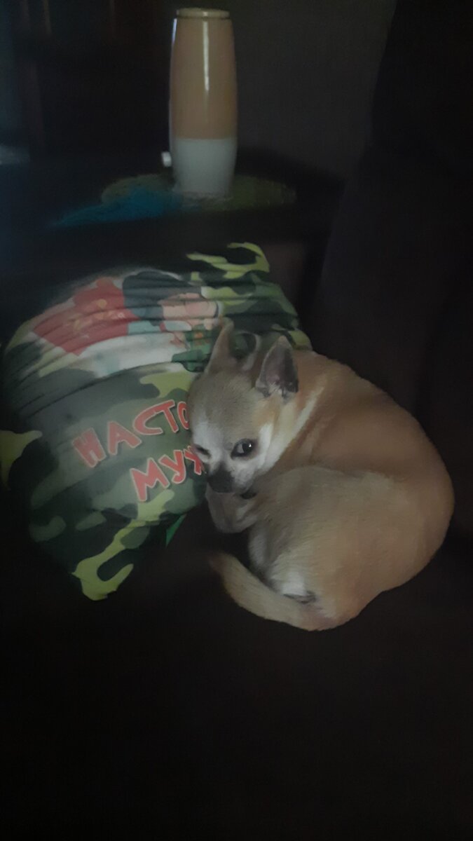 Морально поддерживает