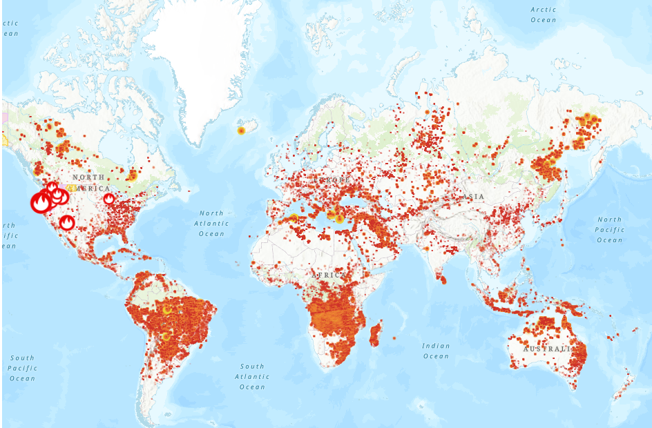                               Мировая карта локализации очагов крупных пожаров