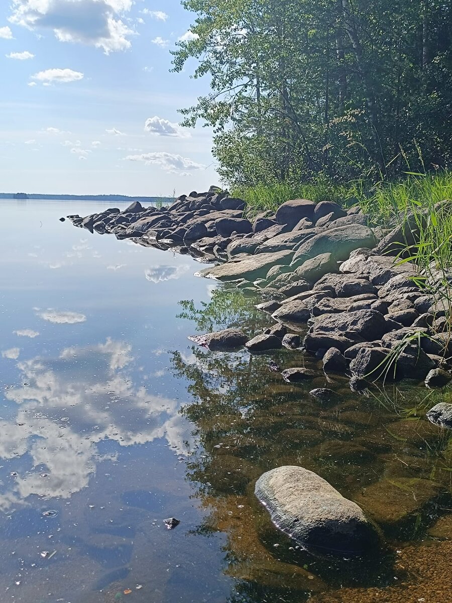 красиво, лето
 


