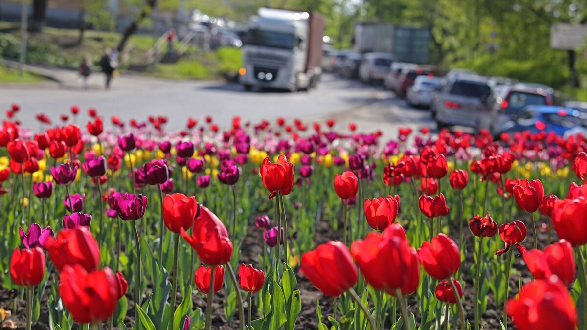     Сегодня в областной столице обещают солнечное утро.