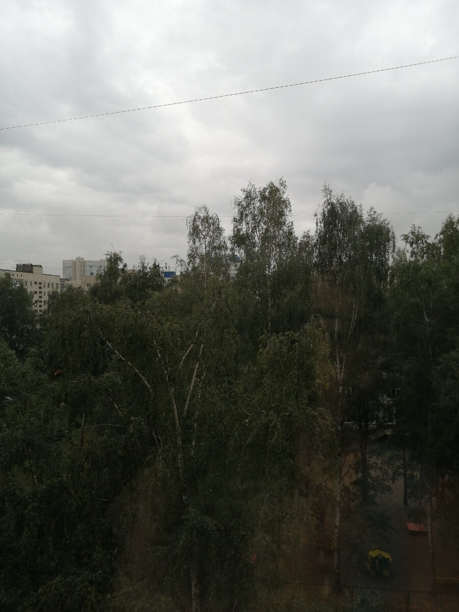 Как всегда, вид из окна...
