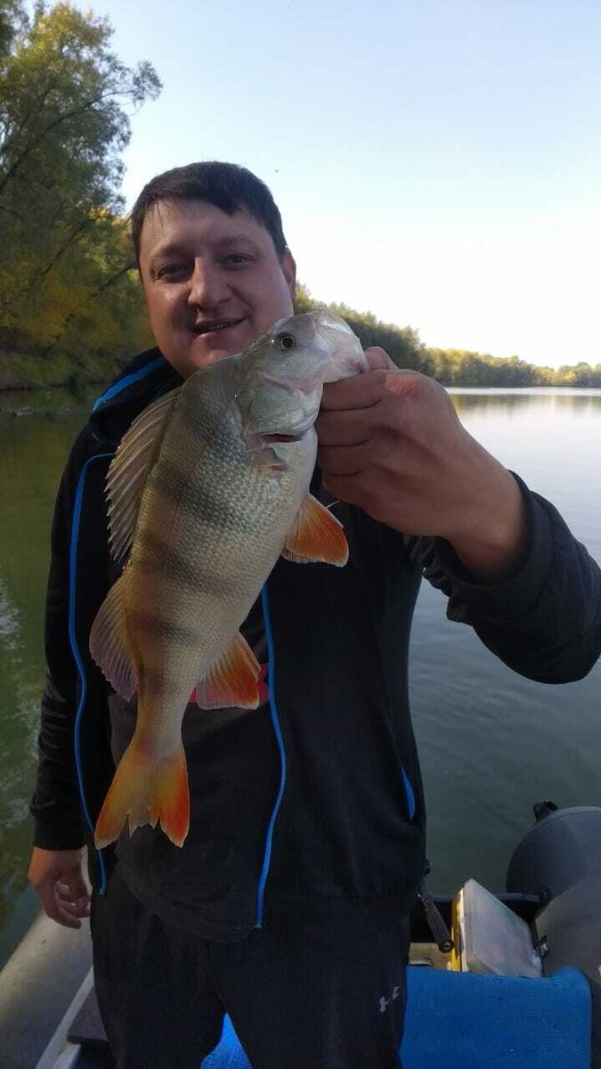 Блесны, позволяют ловить выуживать крупных хищников. 