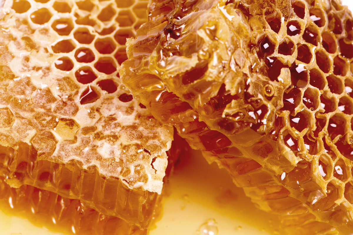 Соты меда. Мед соты пчелы. Пчелиные соты с медом. Пчелиный воск.