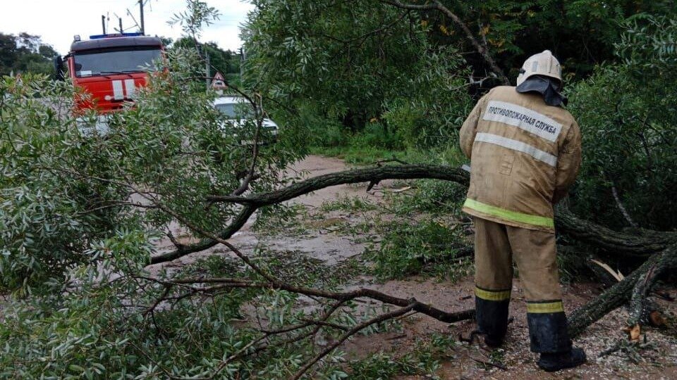     Дорогу к селу Новая Сила в Партизанском районе Приморья расчистили от упавших деревьев.