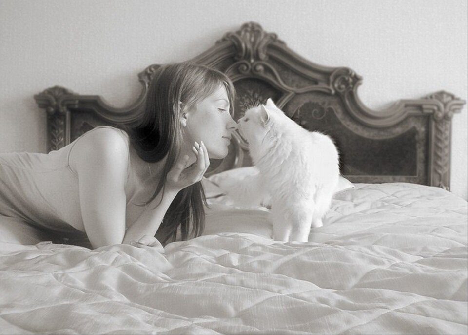 кото женщина. аниме девушки животные. кото женщина. девушка держит кота. неко персонажи.