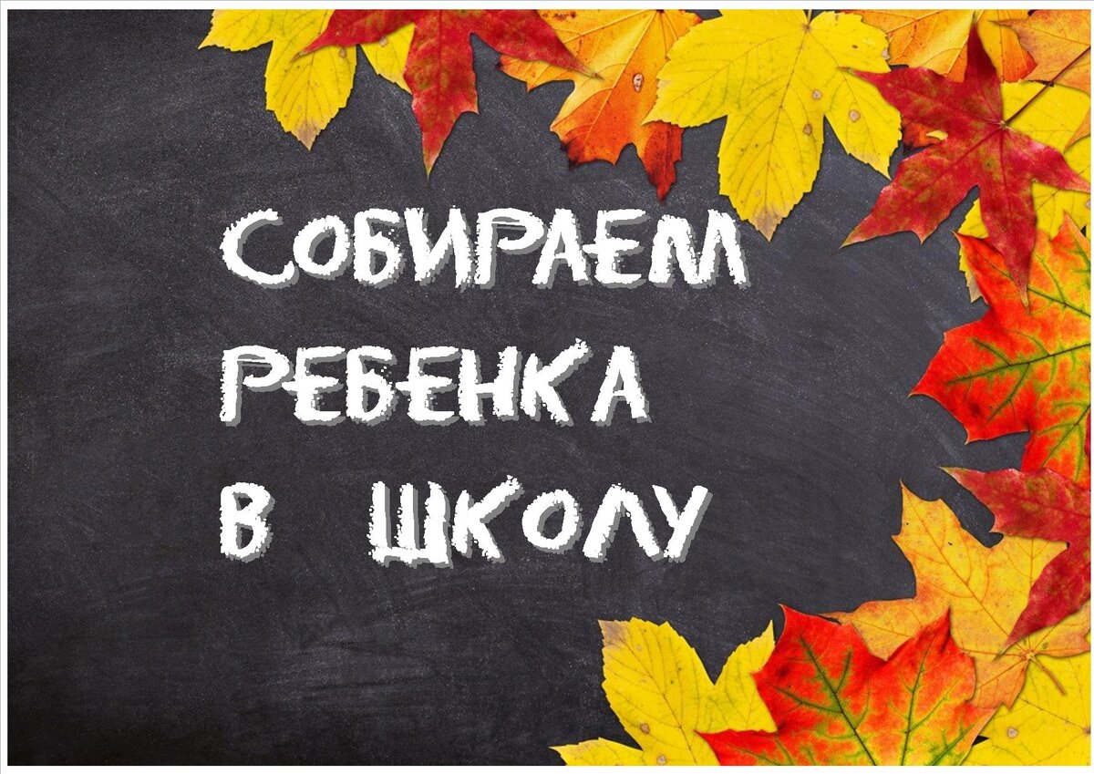 Список канцелярии в школу и мои личные советы | Маршрутный лист в школу |  Учебный год 2023 | БЛОГЕРСКАЯ ОКРОШКА | Дзен