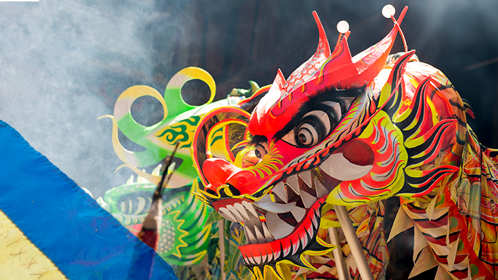 ФОТО: TAM NGUYEN/SHUTTERSTOCK 