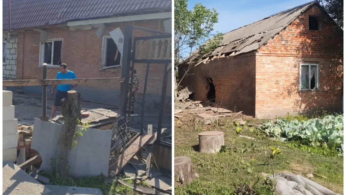 Фото: Настоящий Гладков | Telegram