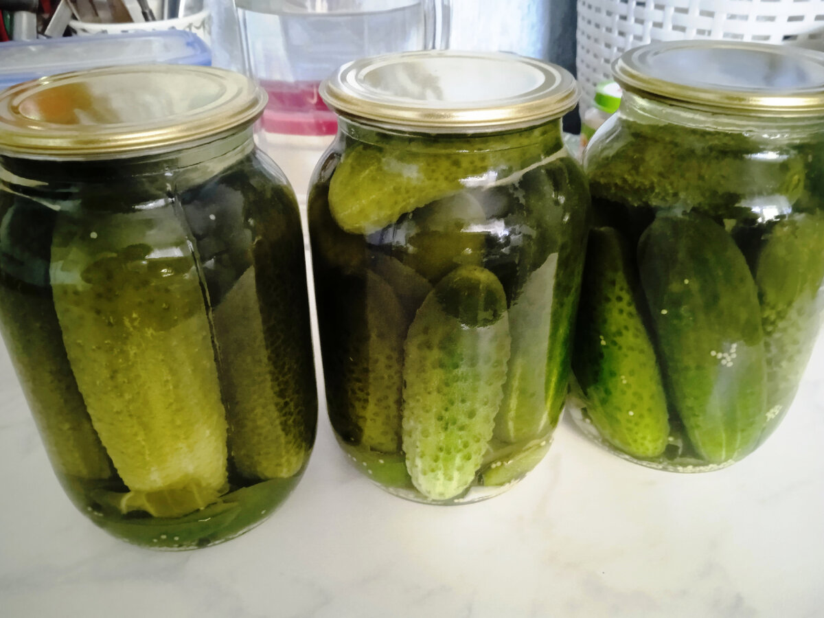 Сегодняшние 3 баночки огурчиков