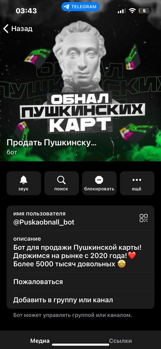 Пушкинская карта авито. Продать пушкинскую карту. Баланс пушкинской карты на 2022. Скрин пушкинской карты. Продажа пушкинской карты.