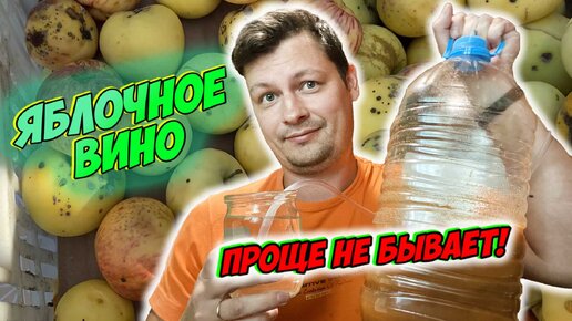 Вино из яблок