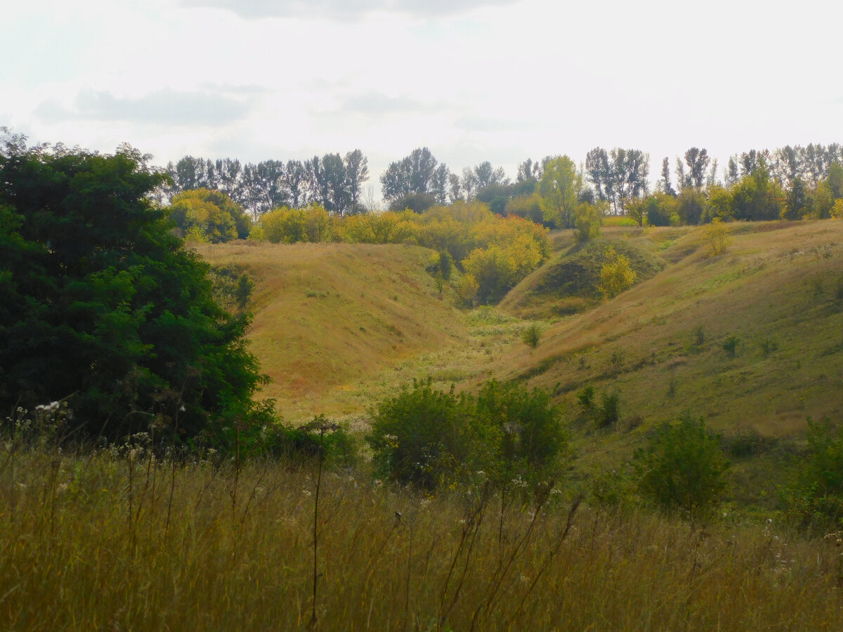 Фото автора канала