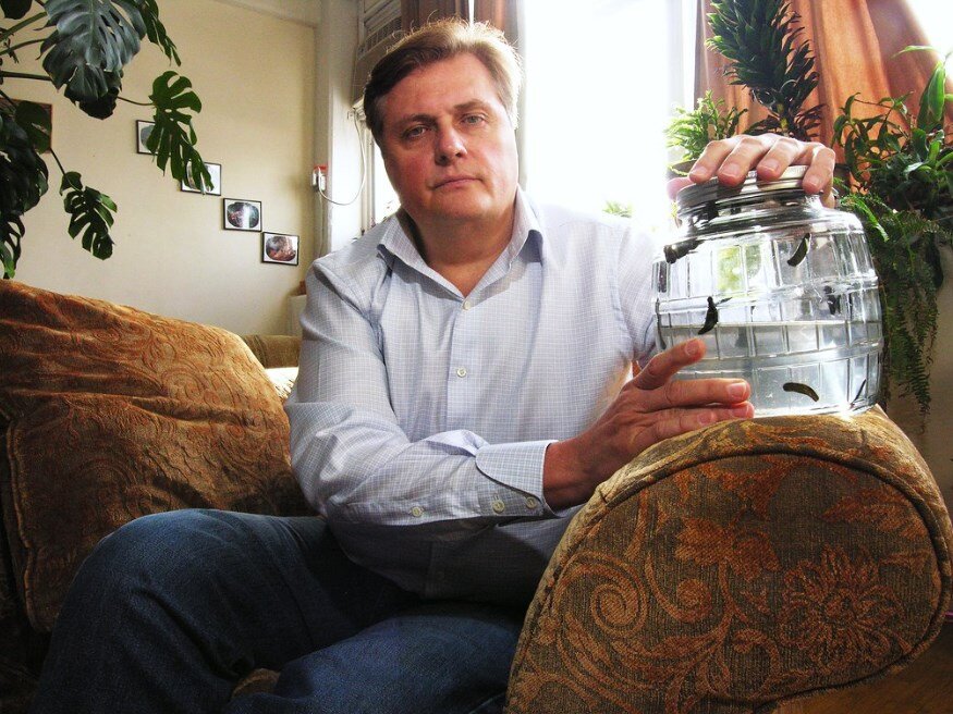 Существует около 400 видов пиявок, но только 3 из них используют в медицинских целях