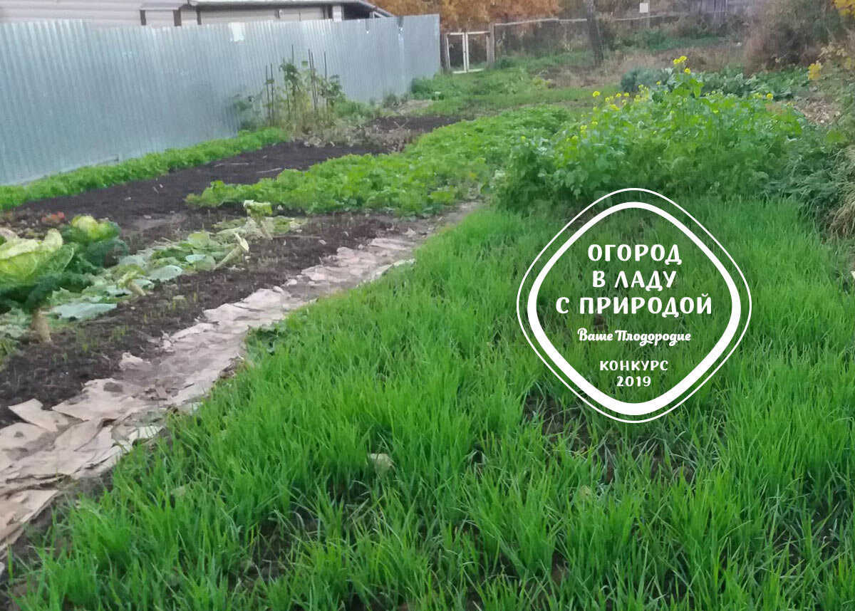 Ваше плодородие каталог товаров. Огород в ладу с природой. Огород в ладу с природой дзен. Ваше плодородие. Ваше-плодородие.РФ школа природного земледелия.