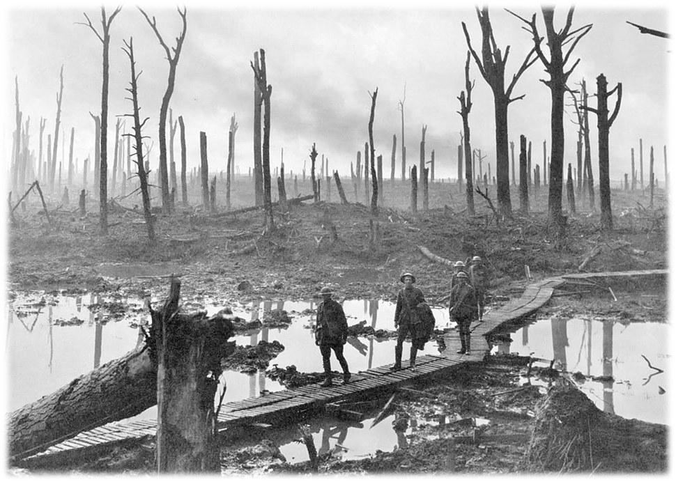 Вот так выглядела местность, после интенсивного и мощного артиллерийского обстрела.