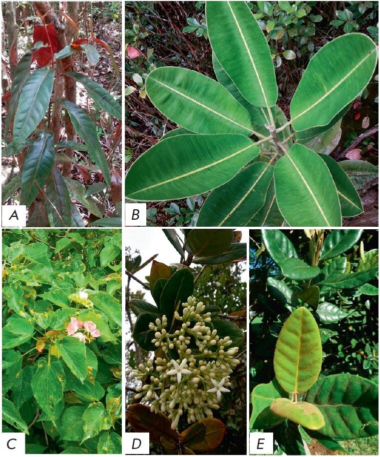 Фото: Acta Naturae