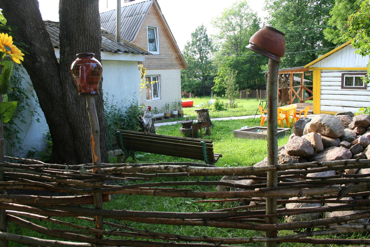 фото из интернета