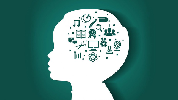 Иллюстрация, подводящая итог развитию мозга