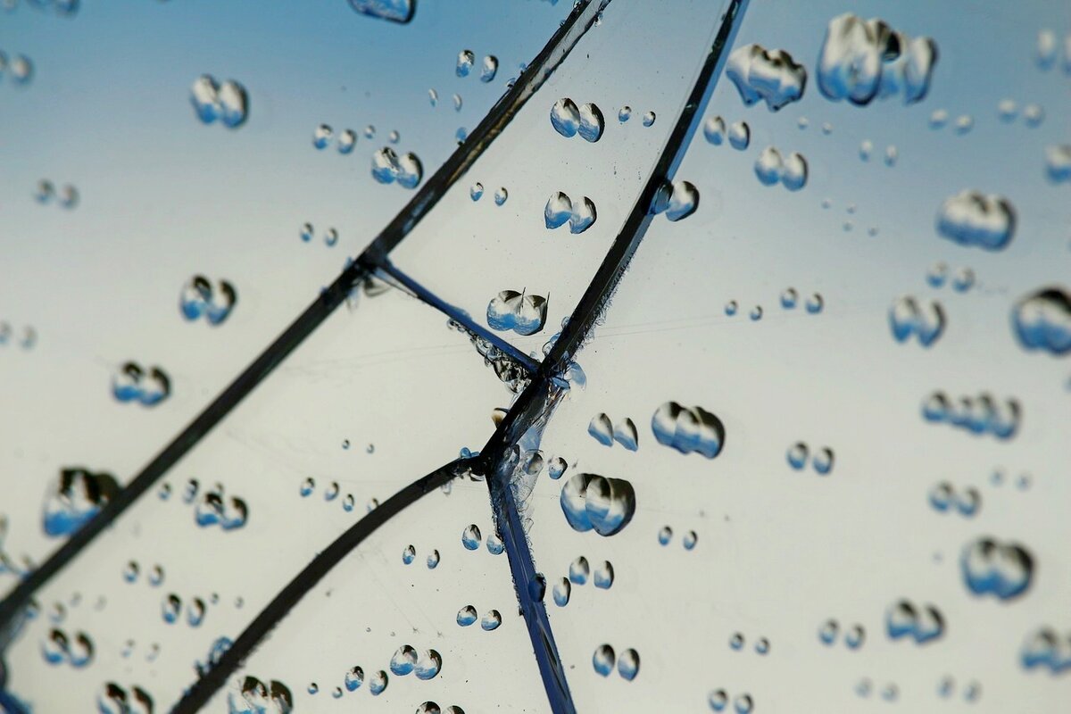 Фото: pixabay.com