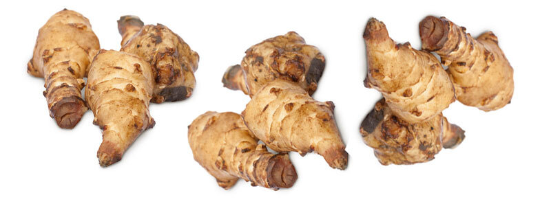 Корнеплод топинамбур