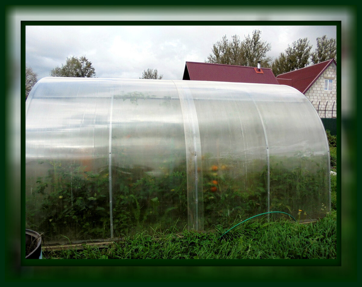 Фото Николая Кулакова