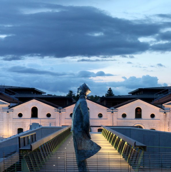 Фото: http://www.angouleme-tourisme.com/530-la-cite-internationale-de-la-bande-dessinee-et-de-l-image