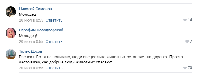 Комментарии к первой новости