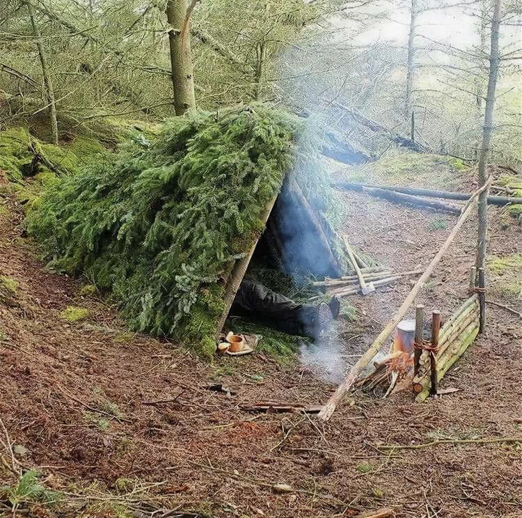 Фото из интернета