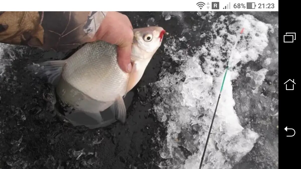 фото Две мормышки на зимней удочке: стопорные узлы для скользящего крючка