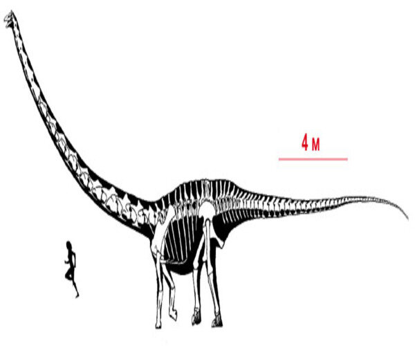 барозавр.www.google.ru/search?newwindow=1&authuser=1&biw=1326&bih=626&tbm=isch&sxsrf=ACYBGNRpPNQBLVJb8Q-_MCYEeeF5xMd_nQ%3A1573578430658&sa=1&ei=vubKXYznJ6SnrgSlvamQCg&q=мозги+барозавра&oq=мозги+барозавра&gs_l=img.3...419823.427624..428123...1.0..4.308.2842.9j9j3j1......0....1..gws-wiz-img.....10..35i39j0j35i362i39j0i131j0i5i30j0i8i30j0i24.sGW-IF6k-SI&ved=0ahUKEwiMvoq7lOXlAhWkk4sKHaVeCqIQ4dUDCAY&uact=5imgrc=ZRlY82n-01KGRM: